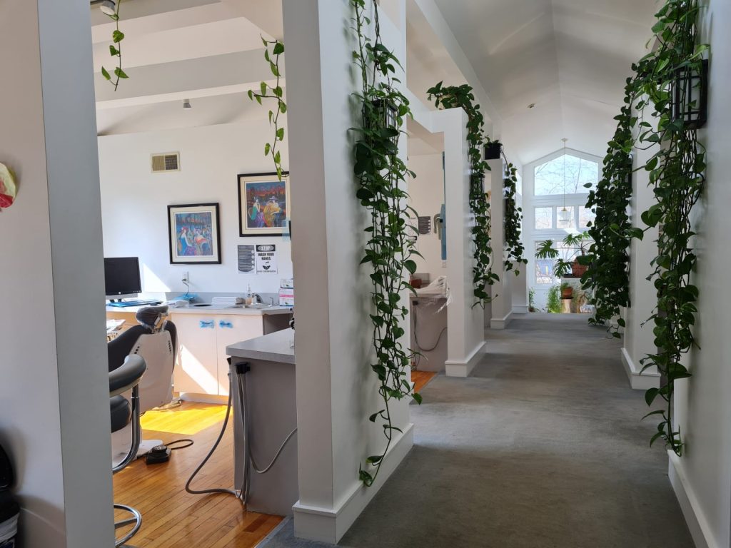 Cohen Dentistry office filled with plants